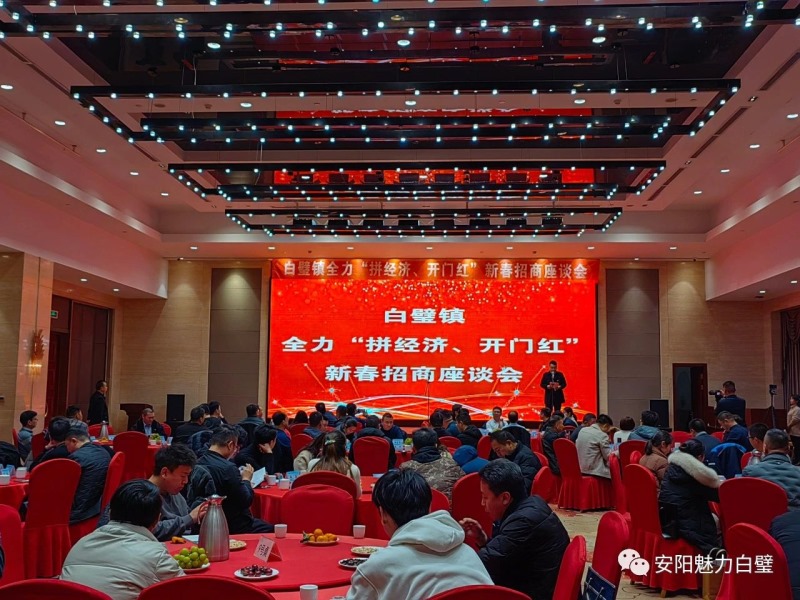 白璧镇：开足马力拼经济 奔跑姿态开新局图1
